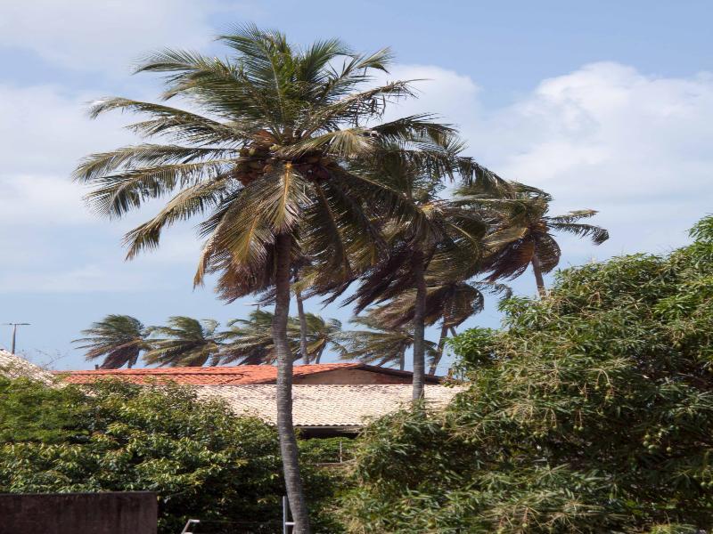 Brisol Hotel João Pessoa エクステリア 写真